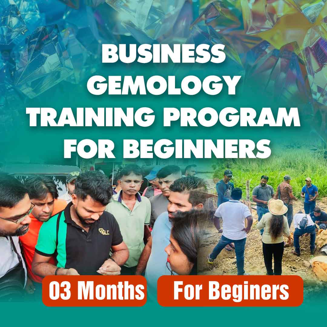 Business Gemology Training Program for Beginners Photo