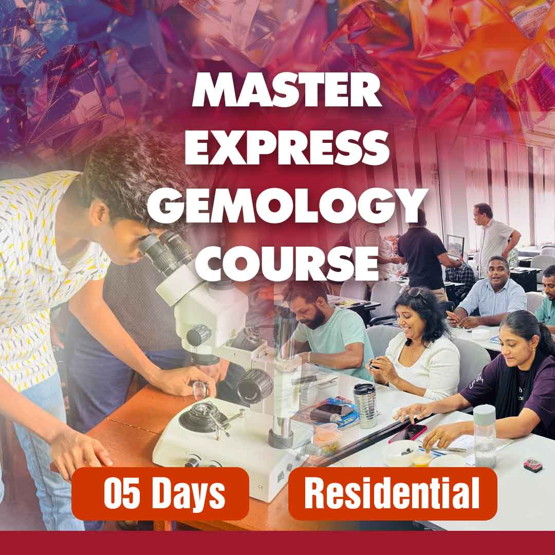 Master Express Gemology Course Photo